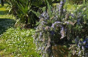 Domaine familial avec grand parc et piscine - Foto 12