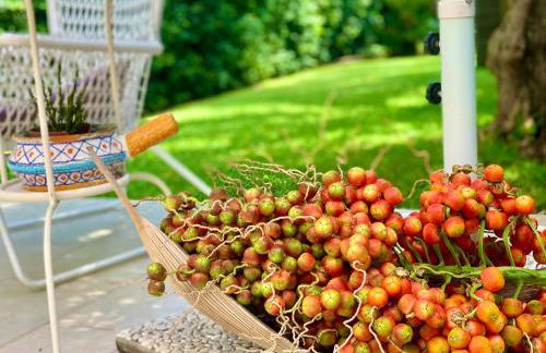 Ara Town House - Foto 79