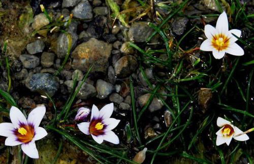 Orne Magical Retreat - Foto 50