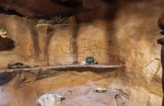 Cave Dwellers- Zions' Only Hand-Sculpted Cave - Foto 26