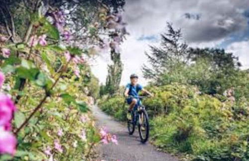 Swansea Beach Townhouse - 350 yard from the beach! - Foto 21