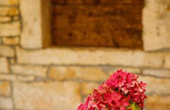 Little App - magical surrounding - Foto 36