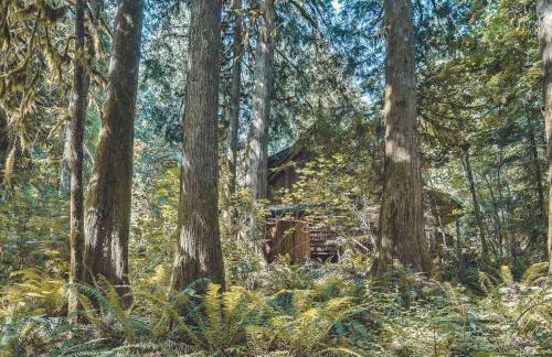 Bear Den Log Cabin - Meredith Lodging - Foto 30