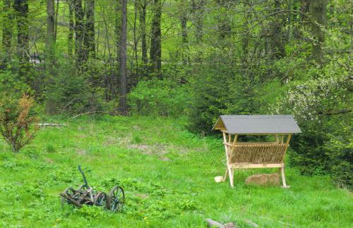 Lawendowa Dolina - Foto 35