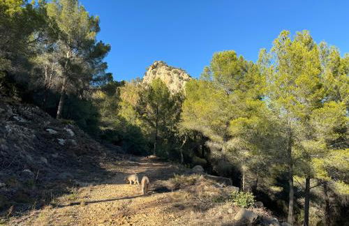 Magic Dream Seaview Villa Denia with 2 Pools, BBQ, Airco, Wifi - Photo 64