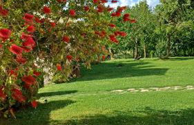 Agriturismo Colleverde Capalbio - Foto 10