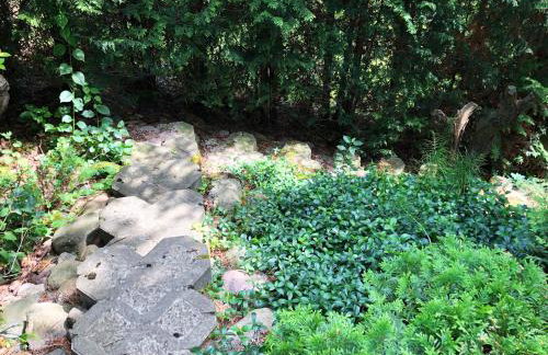 Kaszubskie Letnisko - Foto 37