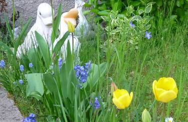 Jardin Fleuri - Foto 22