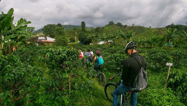 Groupe de cyclistes dans le Salento