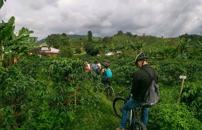 Calarcá Coffee Bike Tour - Photo 2