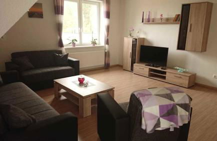 FeWo1 Griese - Foto 3