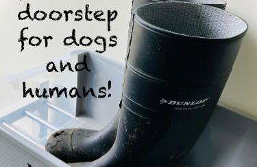 The Hollies, Dorset - Foto 15