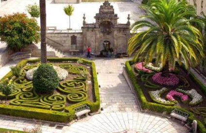 Casa Loureal Ribeira Sacra Ourense - Foto 49