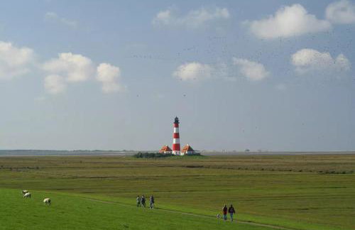 Schäferhof Dircks Fewo 2 - Foto 8