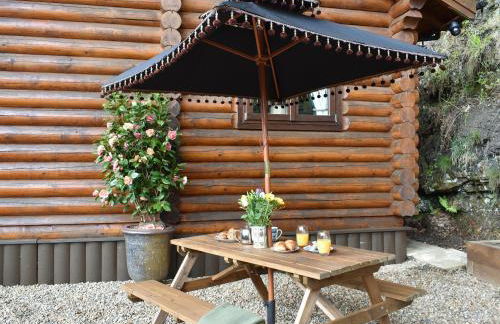 Howburn Log Cabin - Foto 21