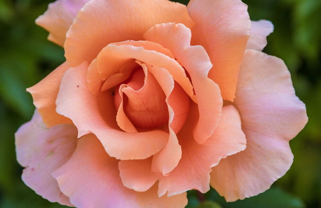 Farmhouse With Private Pool, Large Garden and Playground - Foto 109