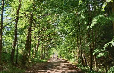 Domek Leśny Zakątek z klimatyzacją - Foto 14