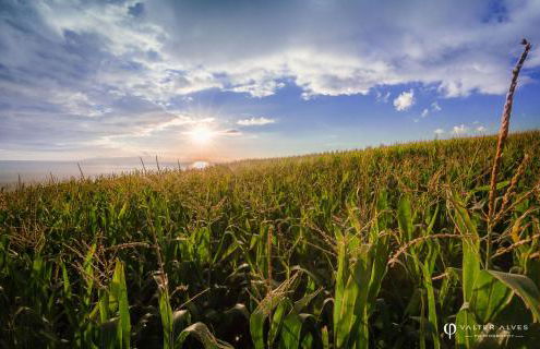 Casa das Cinco - Photo 18