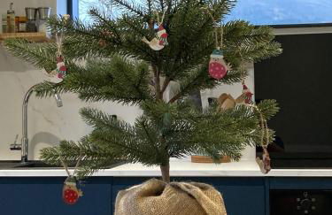 Tigh Na Beithe - Photo 27