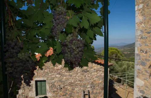 Πύργος Καπουλέα - Foto 14