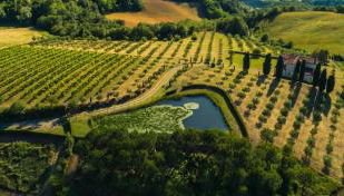 Libero Ranch - Foto 2, Garden