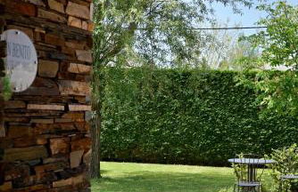 SAN BENITO LA CASA DE MIS ABUELOS - Foto 7