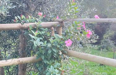 Casa da nascente douro - Foto 37