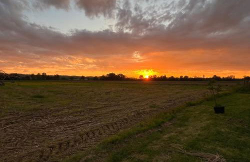 Gite 1, Domaine Logis Gascogne - Photo 46
