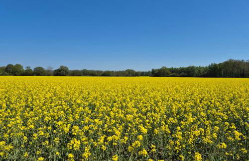 Feriendomizil im Lieper Winkel - Foto 12