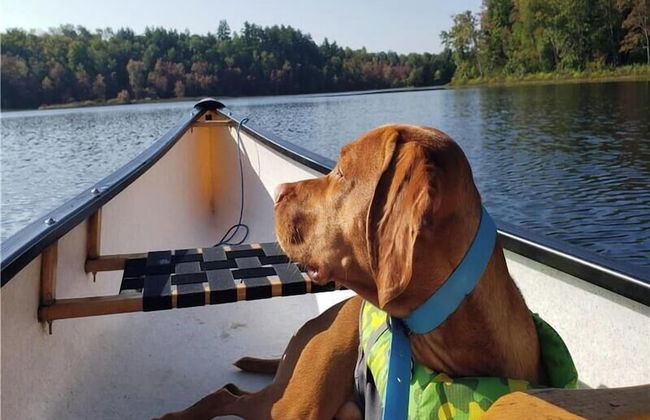 Muskoka Lake Cottages - Foto 64