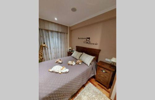 Teixugueiras 16 - Foto 15