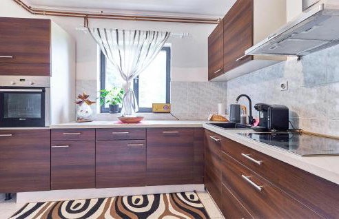 Beautiful Home In Budrovac With Wi-Fi - Foto 7