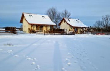 Ostoja Lemany - domki na Kaszubach, sauna, balia-jacuzzi, plac zabaw, tyrolka , dwa boiska, miejsce na ognisko, grill gazowy - Foto 43