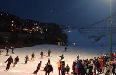 Bilocale I cervi a pochi passi dalle piste con vista Mondolè - Foto 22