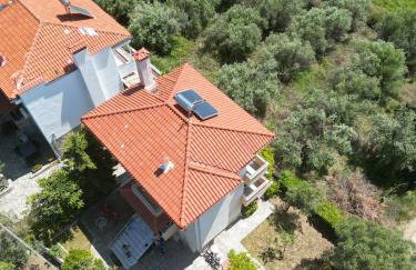 Herodicus villa - Foto 39