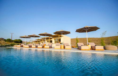 Amaranto Evgatis Limnos - Foto 13