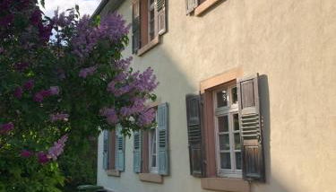 Altes Schulhaus Mutschelbach - Foto 3