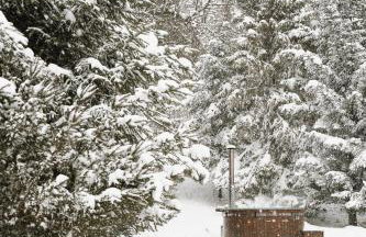 Artist's House - Foto 47