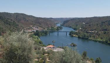 Monte das Flores Casa de Campo - Foto 5