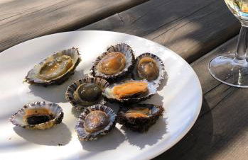 Casa Poente - Casas de Seixe - Foto 16