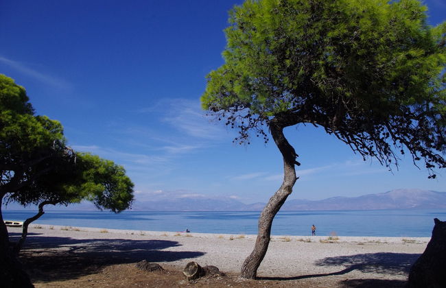 Daphne's Club Hotel Apartments - Foto 44