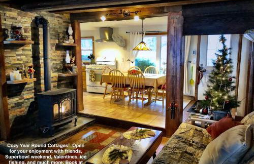 Lakefront Pine Cottage Hot Tub & Fire Pit - Foto 19