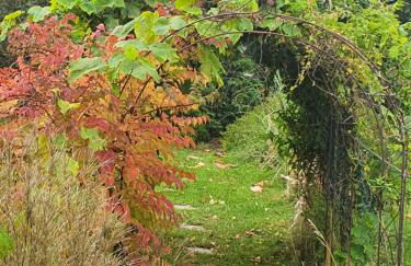 Ferienwohnung Thöne - Foto 17