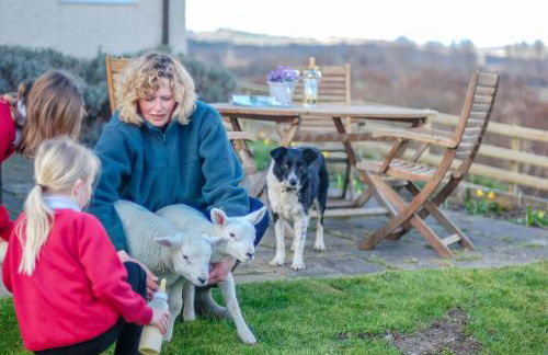 Llwyn-Y-Coed-Isaf - Foto 25