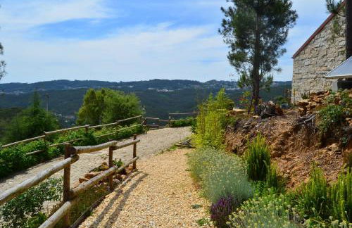 Villa de Paco - Foto 51