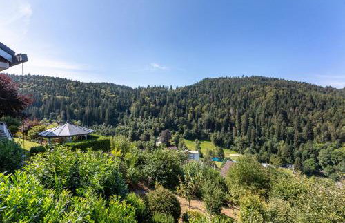 Triberg Blick - Foto 22