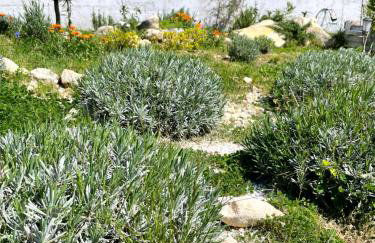 Family House - Art Villa Presika - Labin Old Town - Foto 13