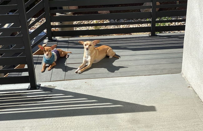 2bdmodern Garden Level-perfectoff Downtown Area - Foto 28