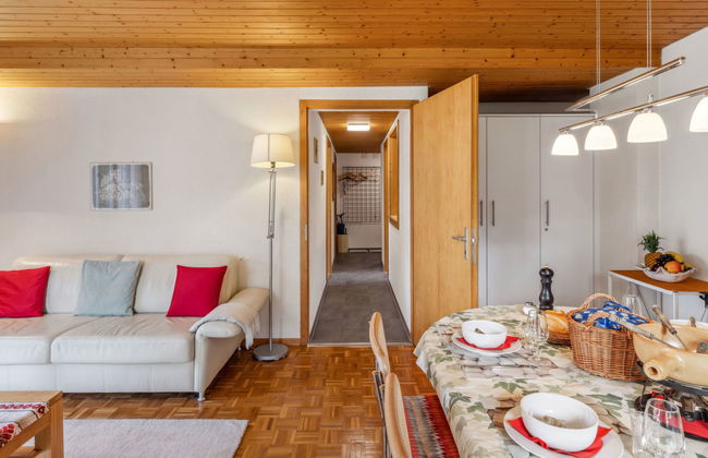 Schweizerhof Apt. S - Foto 8