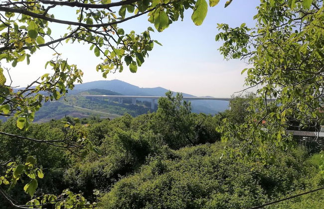 Honeymoon Suite Črni Kal - Foto 19